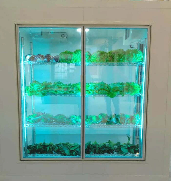 Bio Turbo 100_small cold room_3