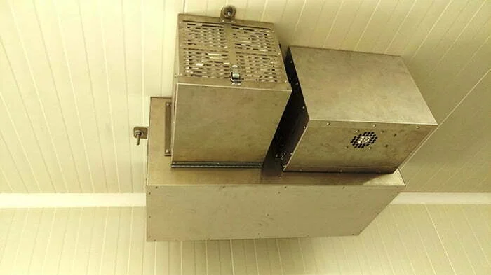 IMAG5600