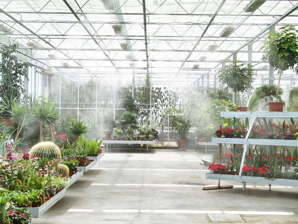 Floral Humidification 2
