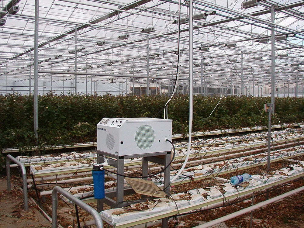 greenhouse_humidification_7