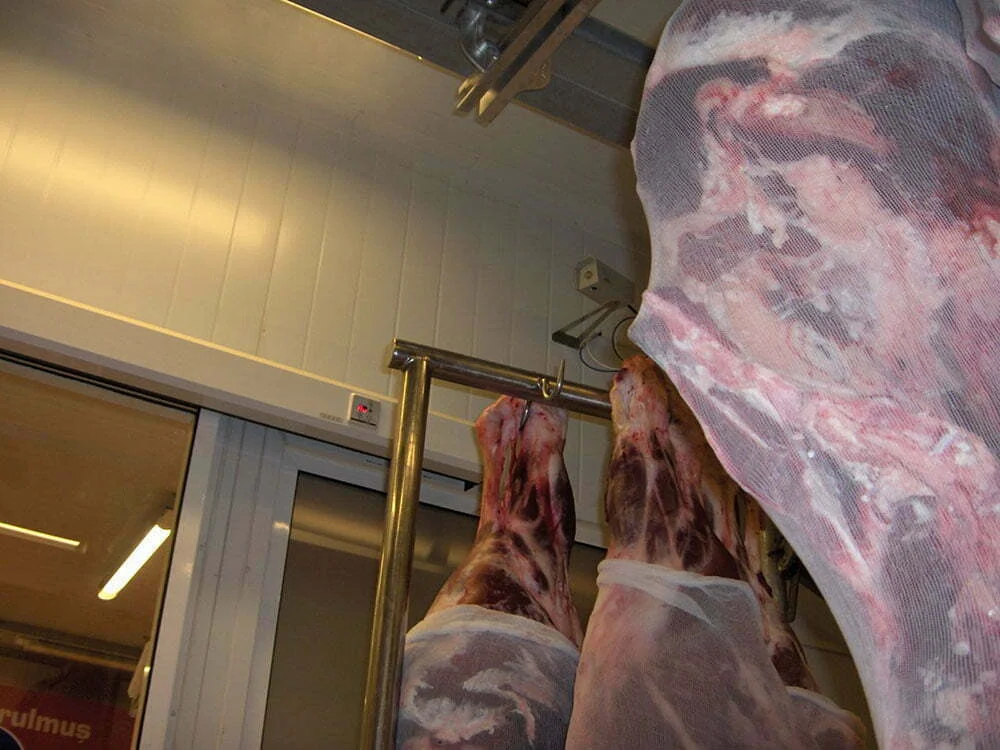 meat_cold_room_7