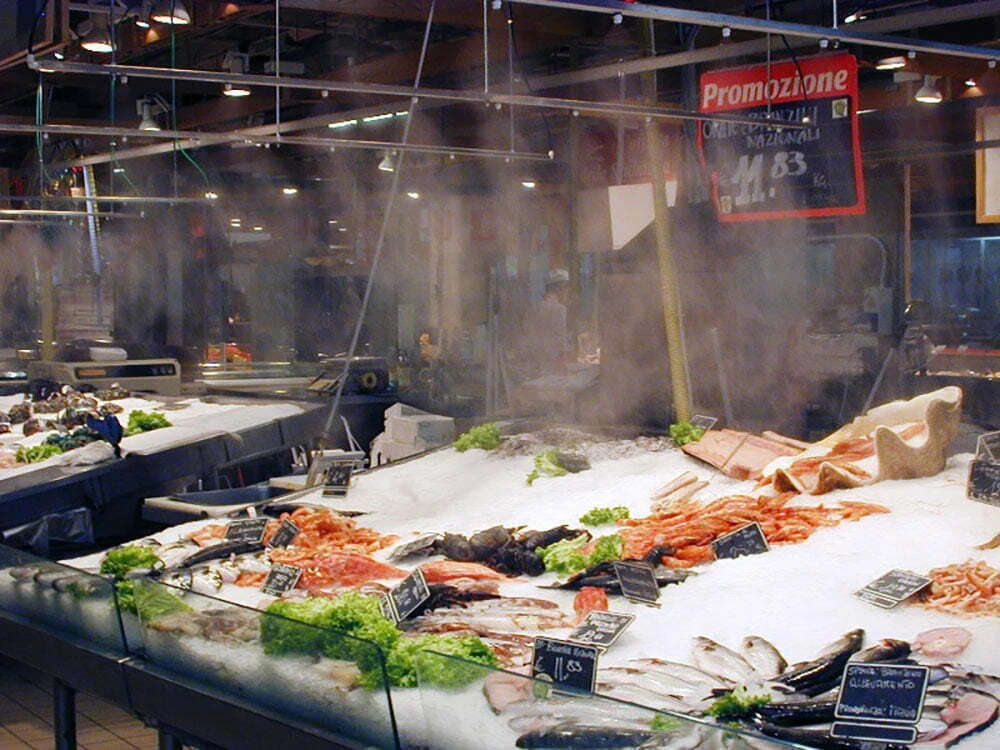 seafood_10
