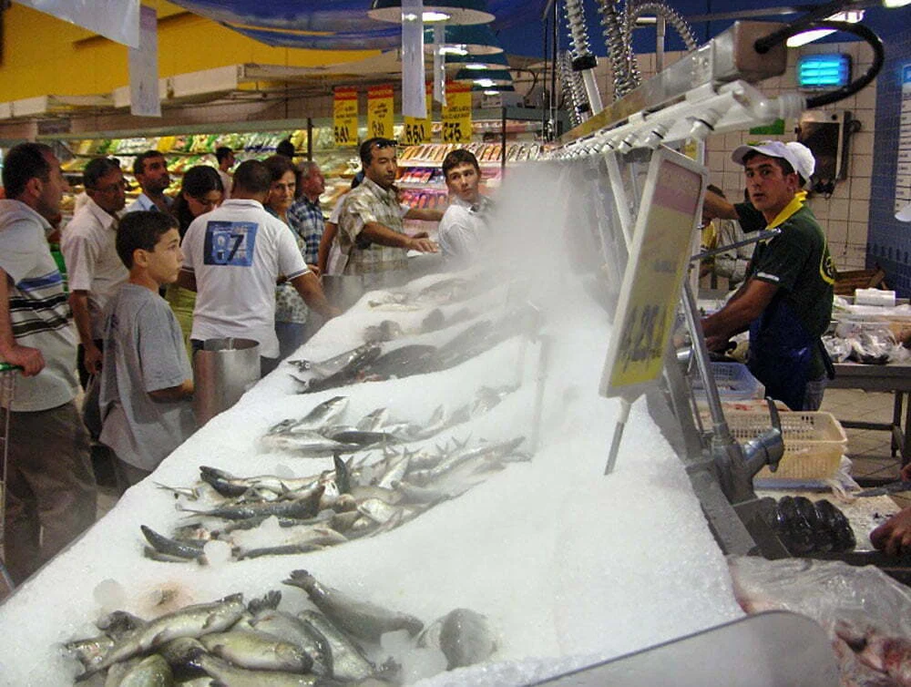 seafood_14
