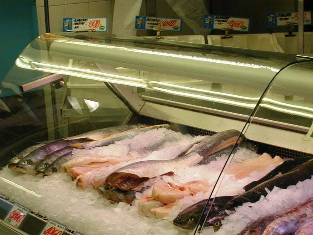 seafood_6