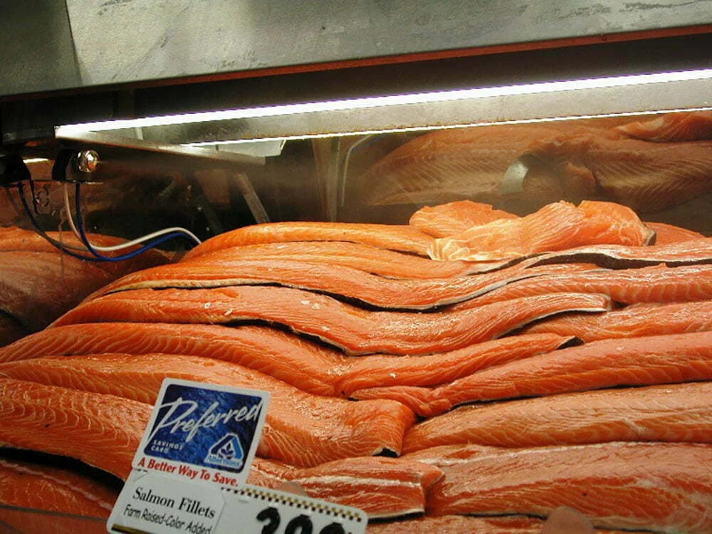 seafood_9