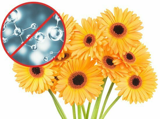 Floral-Ethylene
