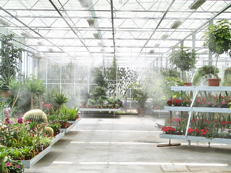 Floral Humidification 2
